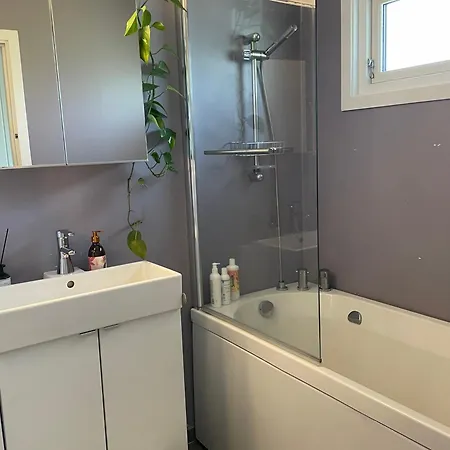 Koselig Enebolig Apartamento Iveland