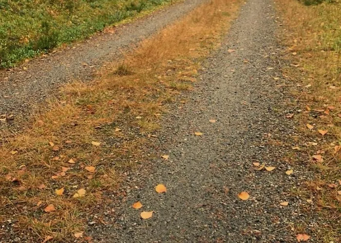 Lägenhet Koselig Enebolig *